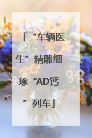 “车辆医生”精雕细琢“AD钙”列车
