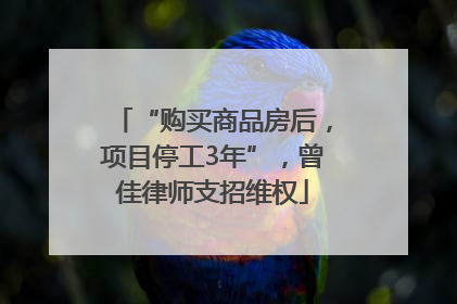 “购买商品房后，项目停工3年”，曾佳律师支招维权