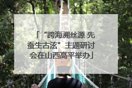 “跨海溯丝源 先蚕生古泫”主题研讨会在山西高平举办
