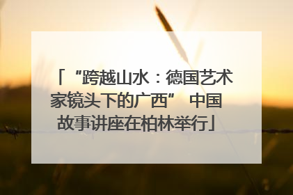 “跨越山水：德国艺术家镜头下的广西” 中国故事讲座在柏林举行
