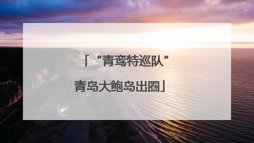 “青鸾特巡队”青岛大鲍岛出圈