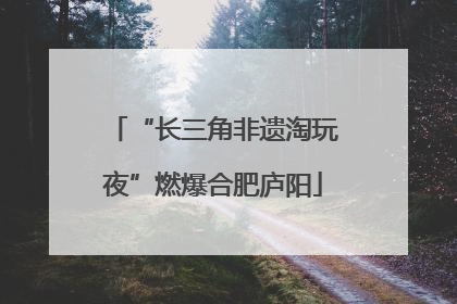 “长三角非遗淘玩夜”燃爆合肥庐阳