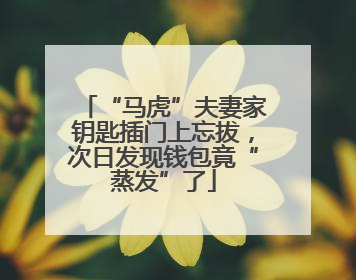 “马虎”夫妻家钥匙插门上忘拔，次日发现钱包竟“蒸发”了