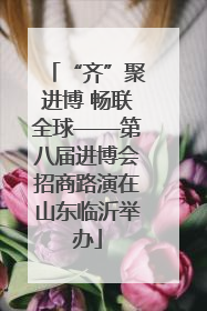 “齐”聚进博 畅联全球——第八届进博会招商路演在山东临沂举办