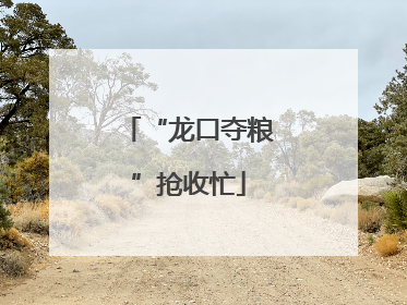 “龙口夺粮”抢收忙