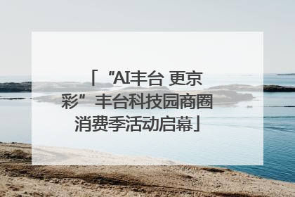 “AI丰台 更京彩”丰台科技园商圈消费季活动启幕
