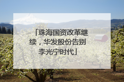 珠海国资改革继续，华发股份告别李光宁时代