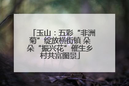 玉山：五彩“非洲菊”绽放横街镇 朵朵“振兴花”催生乡村共富图景