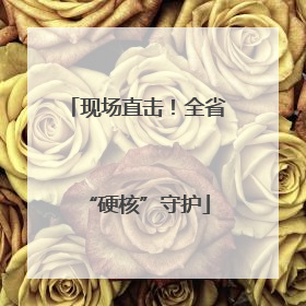 现场直击！全省“硬核”守护