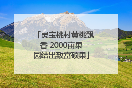 灵宝桃村黄桃飘香 2000亩果园结出致富硕果