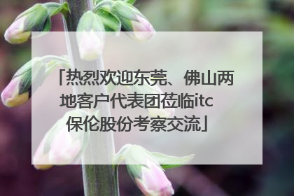 热烈欢迎东莞、佛山两地客户代表团莅临itc保伦股份考察交流