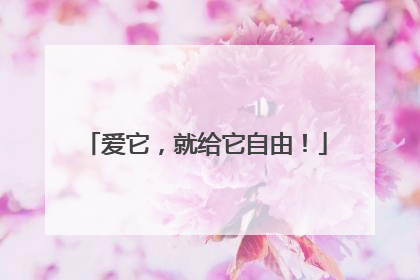 爱它，就给它自由！
