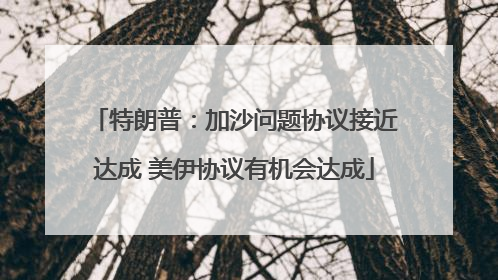 特朗普：加沙问题协议接近达成 美伊协议有机会达成