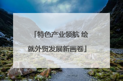 特色产业领航 绘就外贸发展新画卷