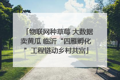 物联网种草莓 大数据卖黄瓜 临沂“四雁孵化”工程链动乡村共富