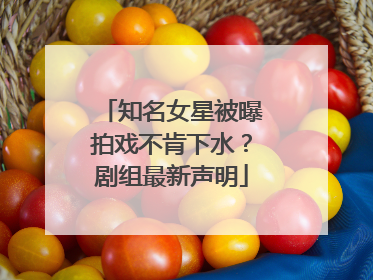 知名女星被曝拍戏不肯下水？剧组最新声明