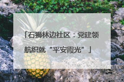 石狮林边社区：党建领航织就“平安霞光”