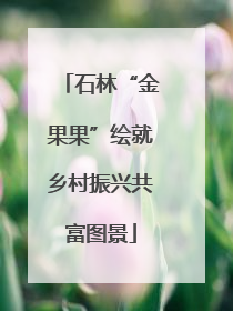 石林“金果果”绘就乡村振兴共富图景