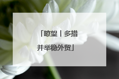 瞭望丨多措并举稳外贸
