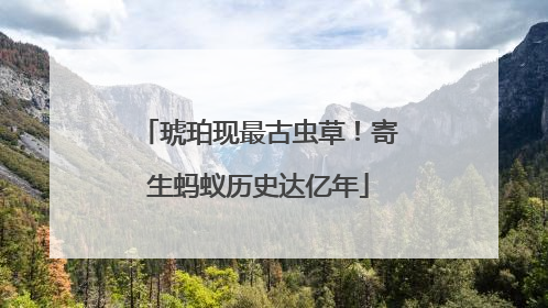 琥珀现最古虫草！寄生蚂蚁历史达亿年