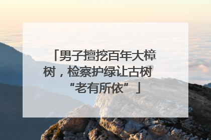 男子擅挖百年大樟树，检察护绿让古树“老有所依”