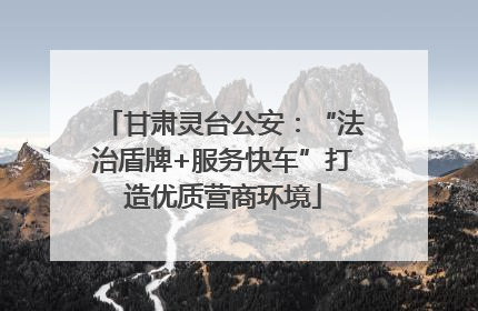 甘肃灵台公安：“法治盾牌+服务快车”打造优质营商环境