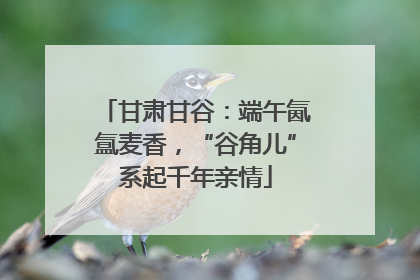 甘肃甘谷:端午氤氲麦香,“谷角儿”系起千年亲情