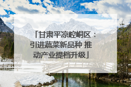 甘肃平凉崆峒区：引进蔬菜新品种 推动产业提档升级