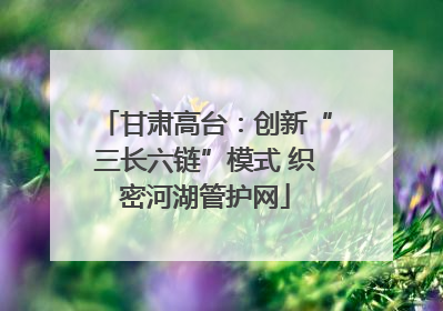 甘肃高台：创新“三长六链”模式 织密河湖管护网