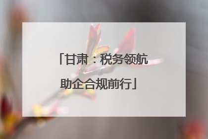 甘肃：税务领航 助企合规前行