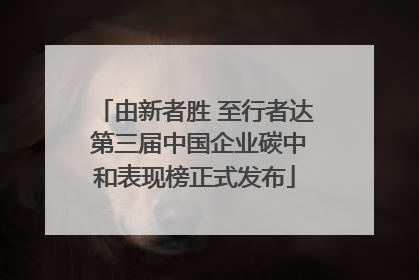 由新者胜 至行者达 第三届中国企业碳中和表现榜正式发布