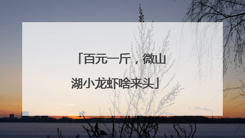 百元一斤，微山湖小龙虾啥来头