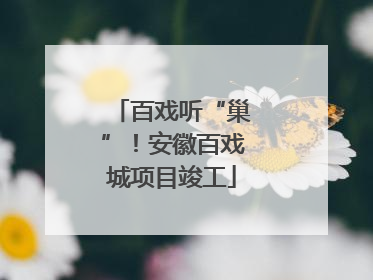 百戏听“巢”！安徽百戏城项目竣工