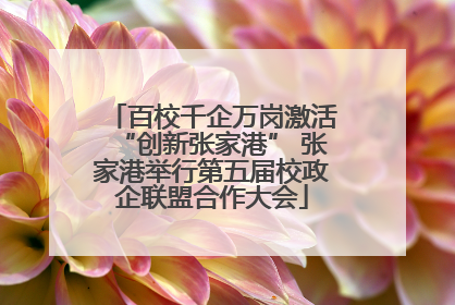 百校千企万岗激活“创新张家港” 张家港举行第五届校政企联盟合作大会