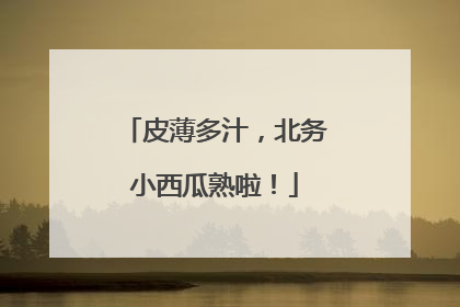 皮薄多汁，北务小西瓜熟啦！