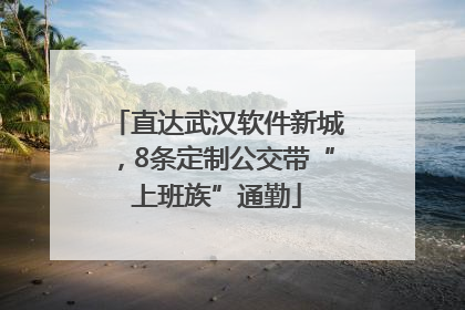 直达武汉软件新城，8条定制公交带“上班族”通勤