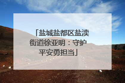 盐城盐都区盐渎街道徐亚明：守护平安勇担当