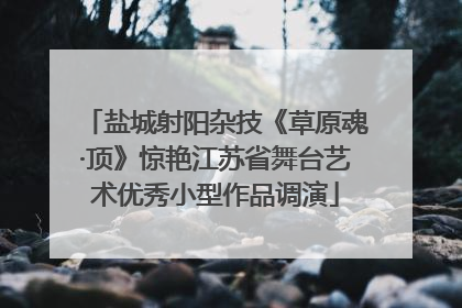 盐城射阳杂技《草原魂·顶》惊艳江苏省舞台艺术优秀小型作品调演