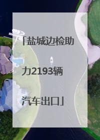 盐城边检助力2193辆汽车出口