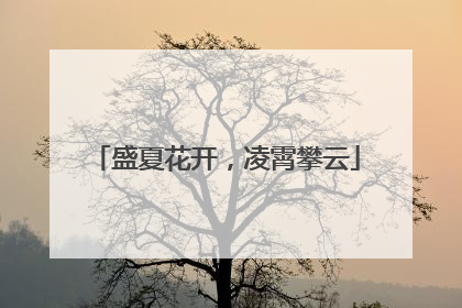盛夏花开，凌霄攀云