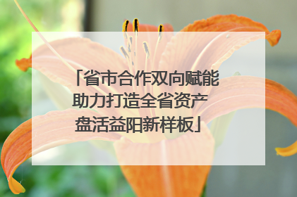省市合作双向赋能 助力打造全省资产盘活益阳新样板