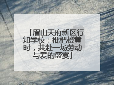 眉山天府新区行知学校：枇杷橙黄时，共赴一场劳动与爱的盛宴