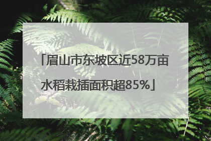 眉山市东坡区近58万亩水稻栽插面积超85%
