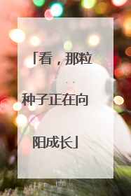 看，那粒种子正在向阳成长