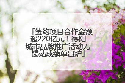 签约项目合作金额超220亿元！德阳城市品牌推广活动无锡站成绩单出炉