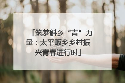筑梦斛乡“青”力量：太平畈乡乡村振兴青春进行时