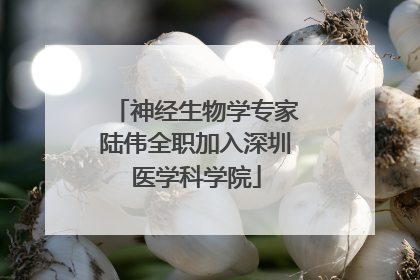 神经生物学专家陆伟全职加入深圳医学科学院