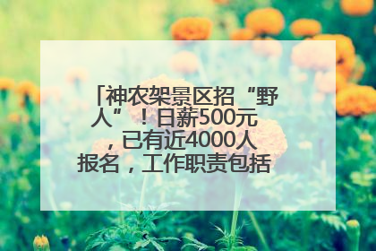 神农架景区招“野人”！日薪500元，已有近4000人报名，工作职责包括“接受游客投喂”