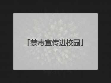 禁毒宣传进校园