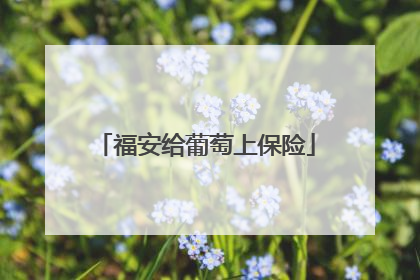 福安给葡萄上保险